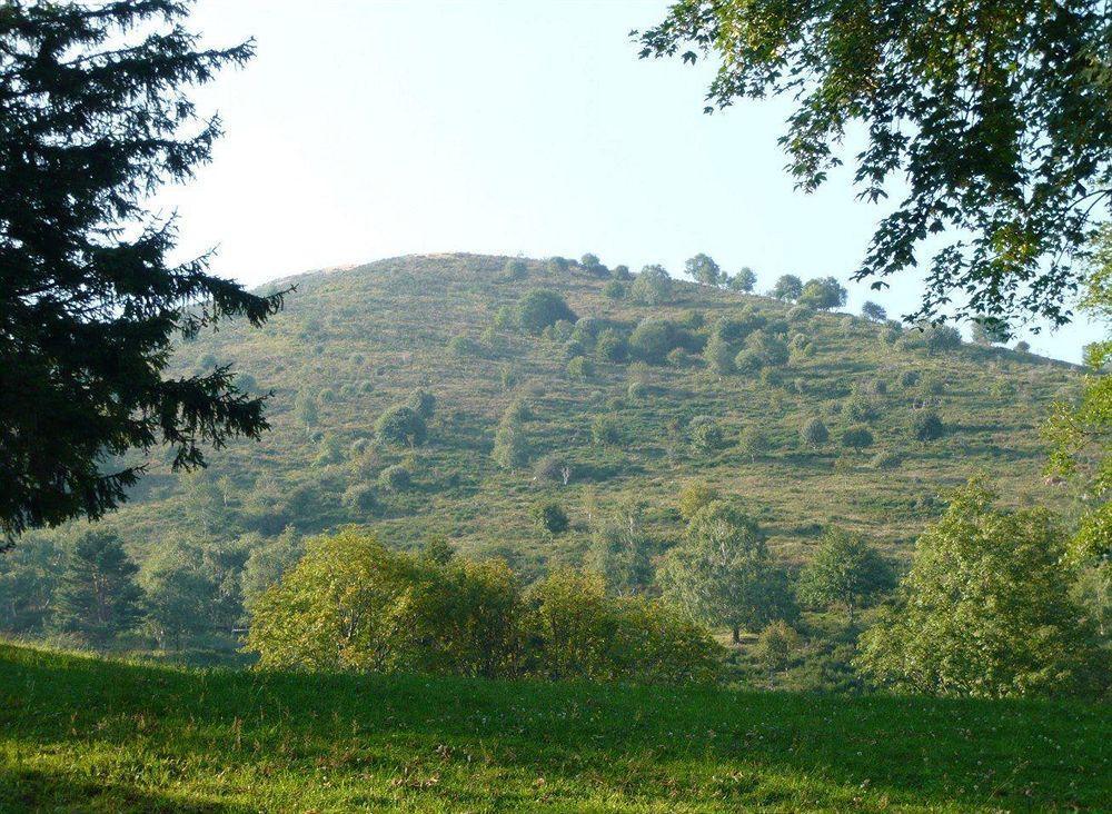 Sormano Rifugio Alpetto Di Tornoホステル エクステリア 写真